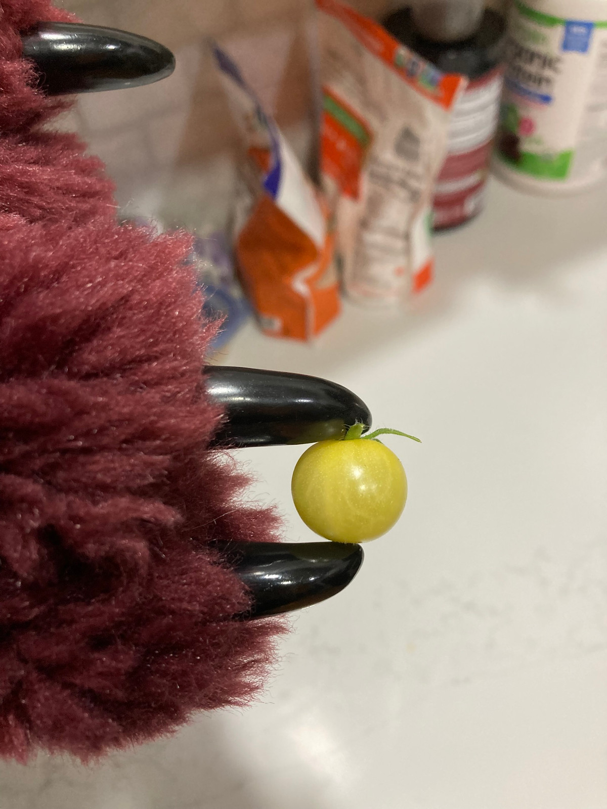 Coyote Tomato Seeds — Seeds