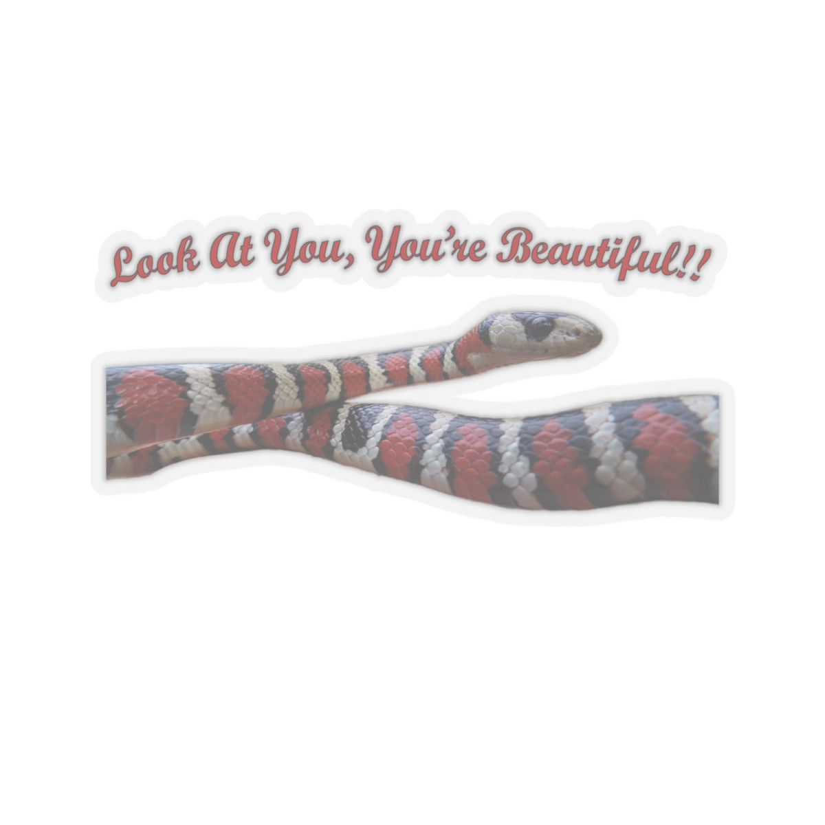 Catchphrase Kingsnake Kiss-Cut Stickers — Dry goods