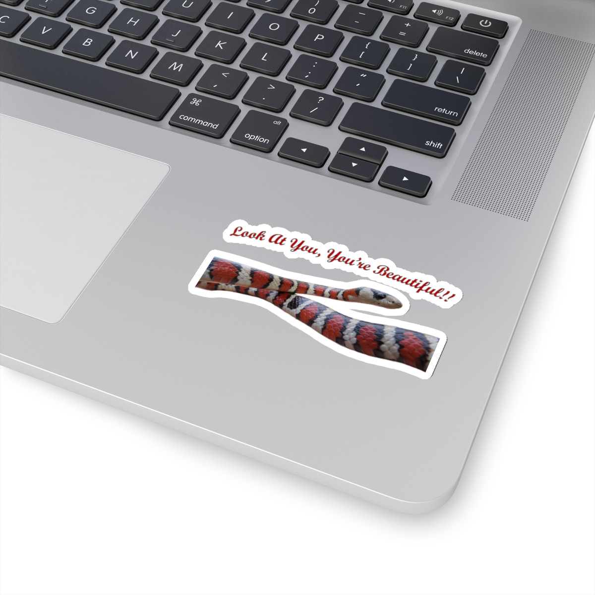 Catchphrase Kingsnake Kiss-Cut Stickers — image 13