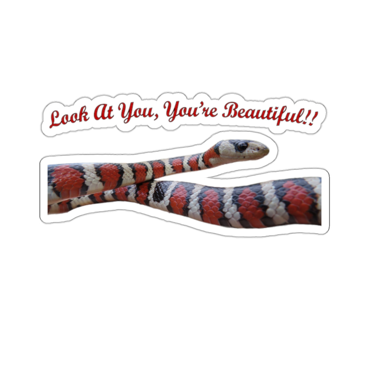 Catchphrase Kingsnake Kiss-Cut Stickers — image 3