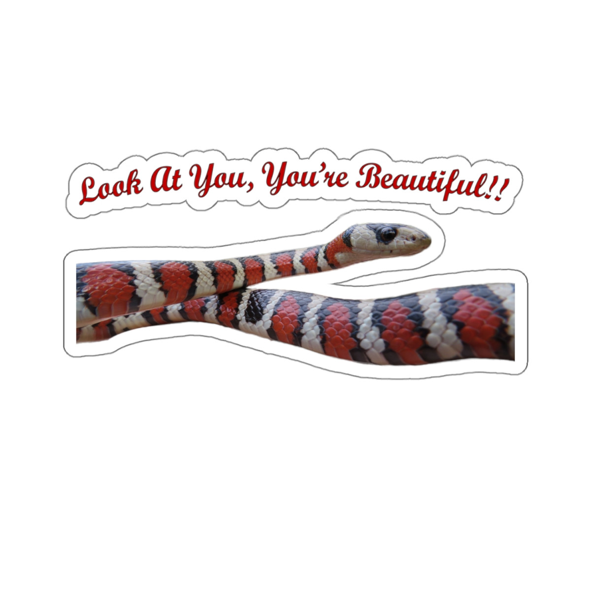 Catchphrase Kingsnake Kiss-Cut Stickers — image 6