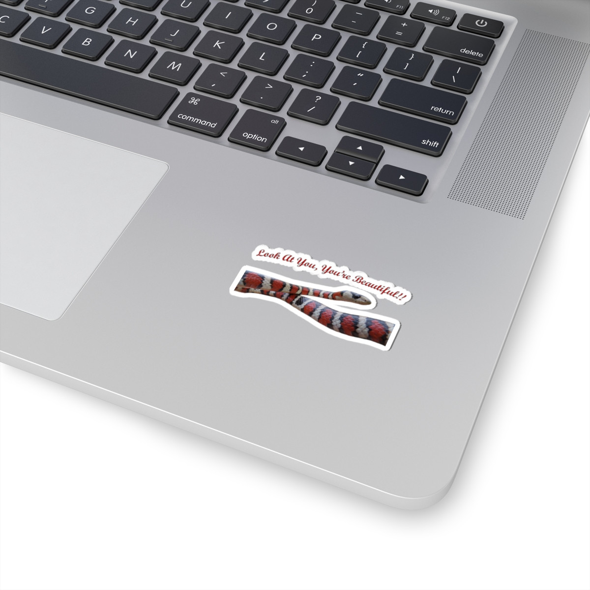 Catchphrase Kingsnake Kiss-Cut Stickers — image 9